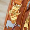 Chic Charm LV Handbag M13987-M14016 Chic Charm LV Handbag M13987-M14016