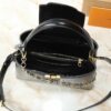 Chic Charm LV Handbag M12924
