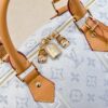 Chic Charm LV Handbag M41418-M41416 Chic Charm LV Handbag M41418-M41416