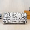 Chic Charm LV Handbag N40804 Chic Charm LV Handbag N40804