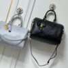 Chic Charm LV Handbag M25670-M40391 Chic Charm LV Handbag M25670-M40391