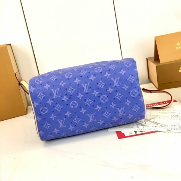 Chic Charm LV Handbag M16282-M16281-1 Chic Charm LV Handbag M16282-M16281-1