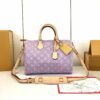 Chic Charm LV Handbag M16282-M16281-1 Chic Charm LV Handbag M16282-M16281-1