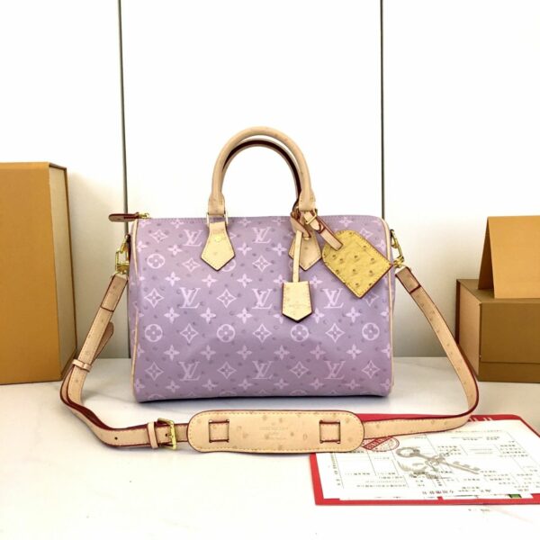 Chic Charm LV Handbag M16282-M16281-1 Chic Charm LV Handbag M16282-M16281-1