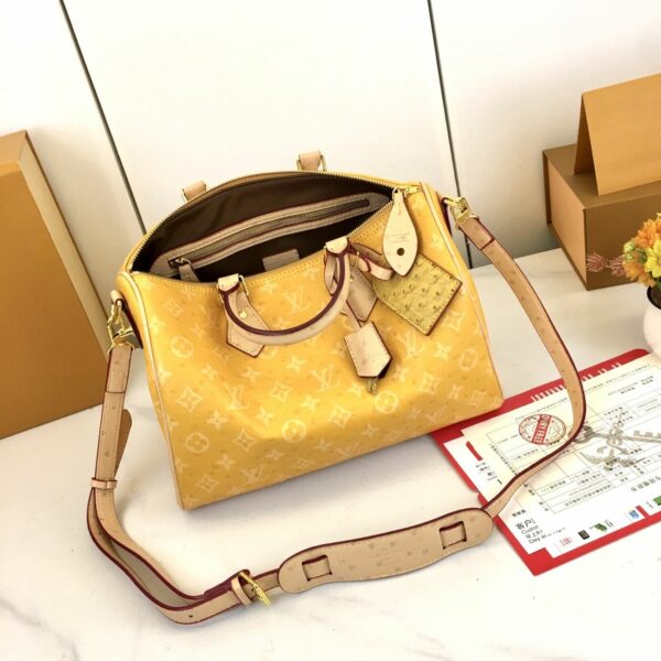 Chic Charm LV Handbag M16282-M16281-1 Chic Charm LV Handbag M16282-M16281-1