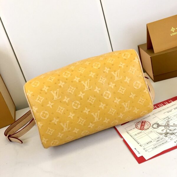 Chic Charm LV Handbag M16282-M16281-1 Chic Charm LV Handbag M16282-M16281-1
