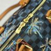 Chic Charm LV Handbag M00227