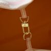 Chic Charm LV Handbag N40668-M40995 Chic Charm LV Handbag N40668-M40995