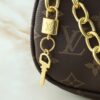 Chic Charm LV Handbag M25223
