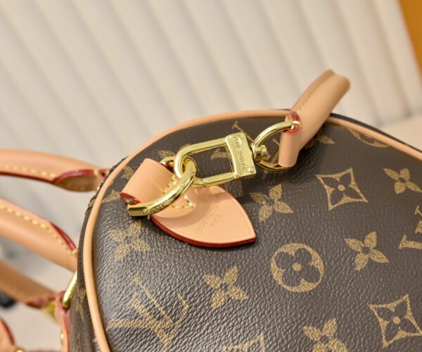 Luxury LV Handbag M15107