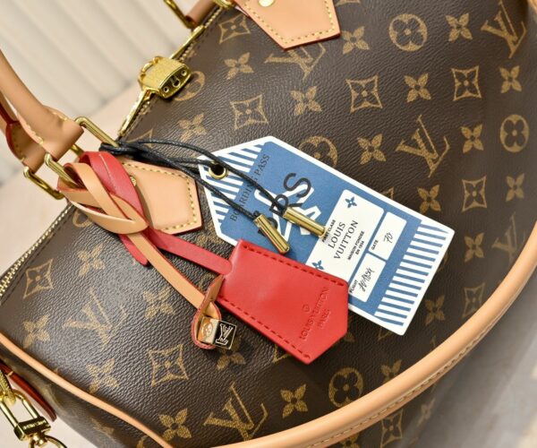 Luxury LV Handbag M15107