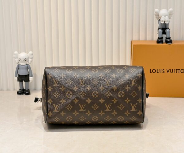 Luxury LV Handbag M15107