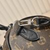 Chic Charm LV Handbag M15107