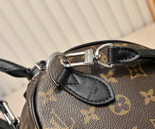 Luxury LV Handbag M15107