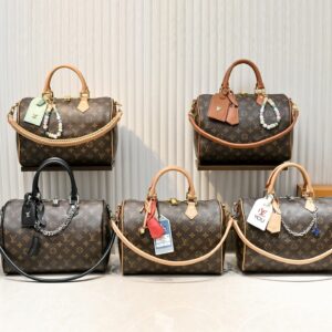 Luxury LV Handbag M15107