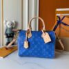 Chic Charm LV Handbag M16282