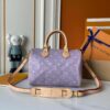 Chic Charm LV Handbag M16282