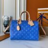 Chic Charm LV Handbag M16282-1