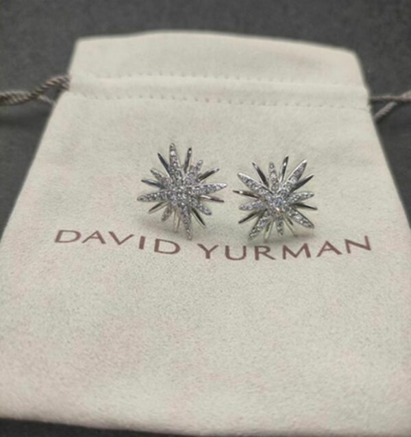 New Collection Fashion David Yurman Earring 066