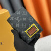 Luxury LV Wallet M60181 Luxury LV Wallet M60181