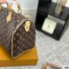 Stylish Fashion Carry LV Handbag LV509253 Stylish Fashion Carry LV Handbag LV509253