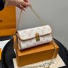 Stylish Fashion Carry LV Handbag LV509263