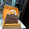 Stylish Fashion Carry LV Handbag LV2510102 Stylish Fashion Carry LV Handbag LV2510102