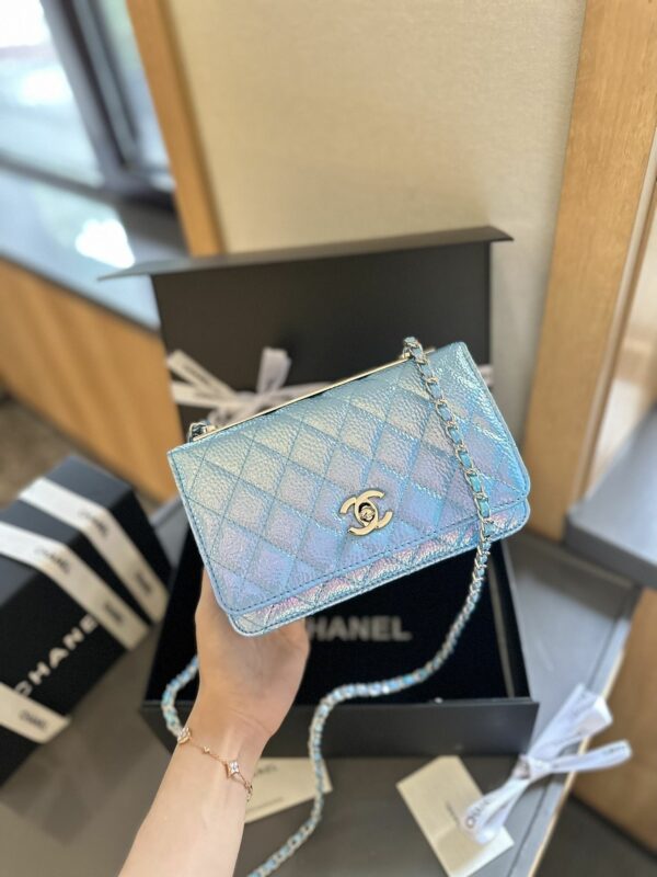 New Collection Fashion CN Handbag CC09091