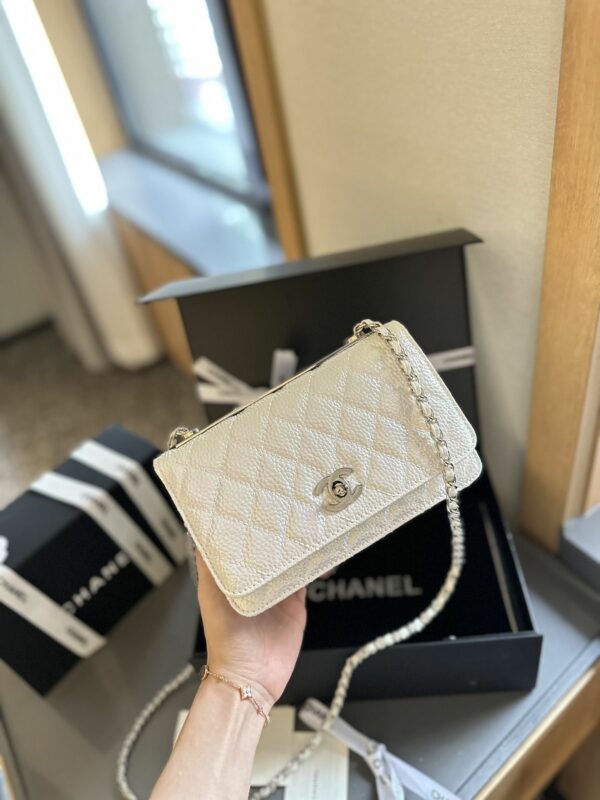 New Collection Fashion CN Handbag CC09091