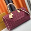 Chic Charm LV Handbag M25772 Chic Charm LV Handbag M25772