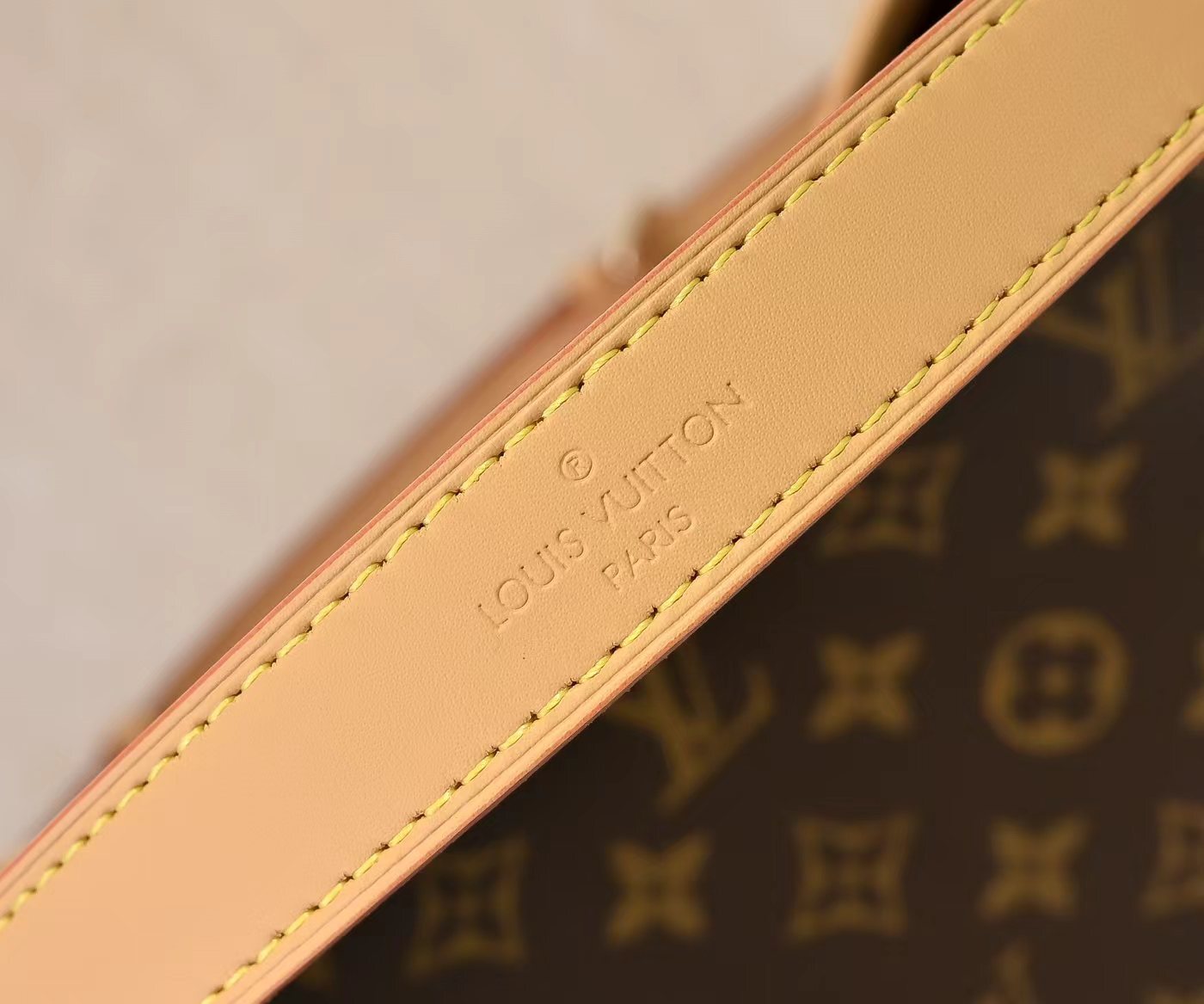 Luxury LV Handbag M25666 Luxury LV Handbag M25666