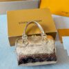 Stylish Fashion Carry LV Handbag LV2510191 Stylish Fashion Carry LV Handbag LV2510191