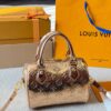 Stylish Fashion Carry LV Handbag LV2510191 Stylish Fashion Carry LV Handbag LV2510191