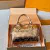 Stylish Fashion Carry LV Handbag LV2510191 Stylish Fashion Carry LV Handbag LV2510191
