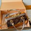 Stylish Fashion Carry LV Handbag LV2510191 Stylish Fashion Carry LV Handbag LV2510191