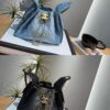 Stylish Fashion Carry CN Handbag 5293