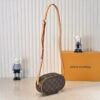 Chic Charm LV Handbag M25549