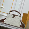 Chic Charm LV Handbag M59939-M94519.5 Chic Charm LV Handbag M59939-M94519.5