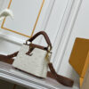 Chic Charm LV Handbag M59939-M94519.5 Chic Charm LV Handbag M59939-M94519.5