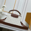 Chic Charm LV Handbag M59939-M94519.5 Chic Charm LV Handbag M59939-M94519.5