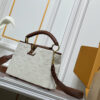 Chic Charm LV Handbag M59939-M94519.5 Chic Charm LV Handbag M59939-M94519.5
