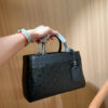 Stylish Fashion Carry Bag L5225 Stylish Fashion Carry Bag L5225