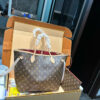 Stylish Fashion Carry Bag L5209