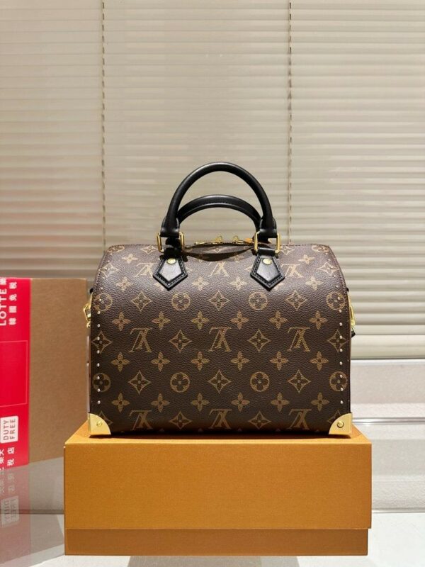 Stylish Fashion Carry Bag L5197