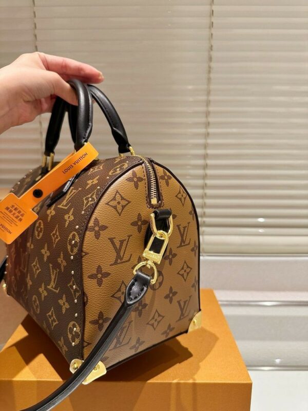 Stylish Fashion Carry Bag L5197