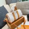 Stylish Fashion Carry Bag L5194