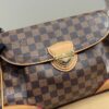 Stylish Fashion Carry Bag L5155
