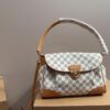 Stylish Fashion Carry Bag L5155