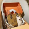 Stylish Fashion Carry Bag L5128