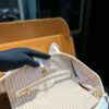 Stylish Fashion Carry Bag L5106